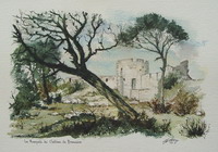 N° 0885 - Les ramparts du château de Beaucaire