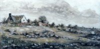 N° 0921 - L'Île Grande : la côte sauvage
