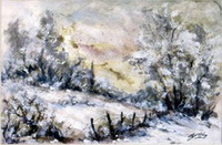 N° 0924 - Pré sous la neige