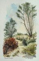 N° 0984 - Promenade champêtre