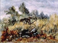 N° 1327 - Le vieux râteau