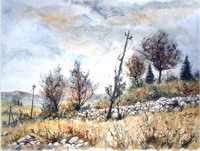 N° 1403 - Campagne en Ardèche