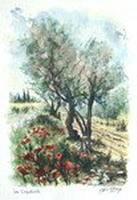 N° 1776 - Les coquelicots