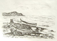 N° 1892